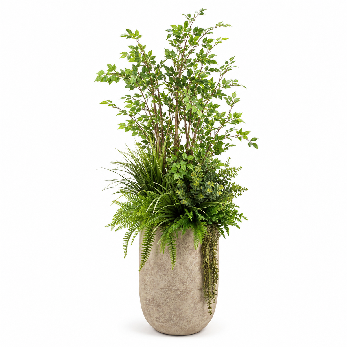 Botanicals