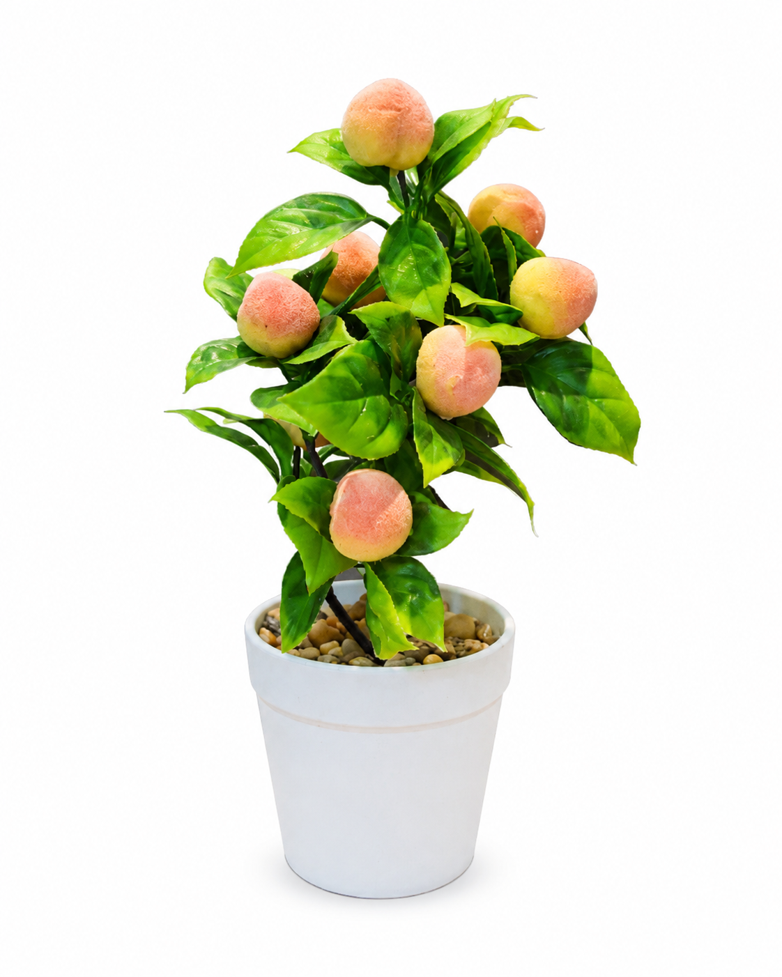 Small Plants