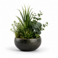Olive Grove Botanical Arrangement