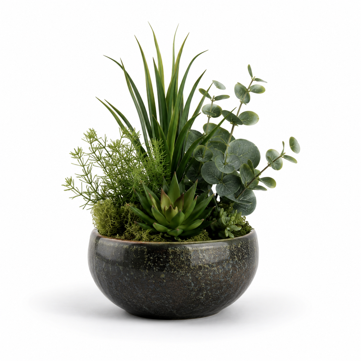Olive Grove Botanical Arrangement
